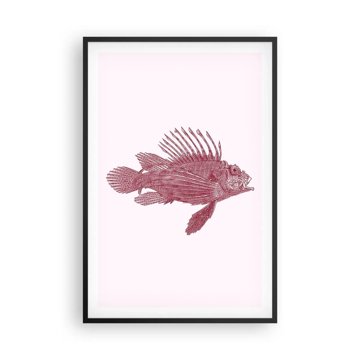 Poster in cornice nera - Abitante di mari esotici - 61x91 cm
