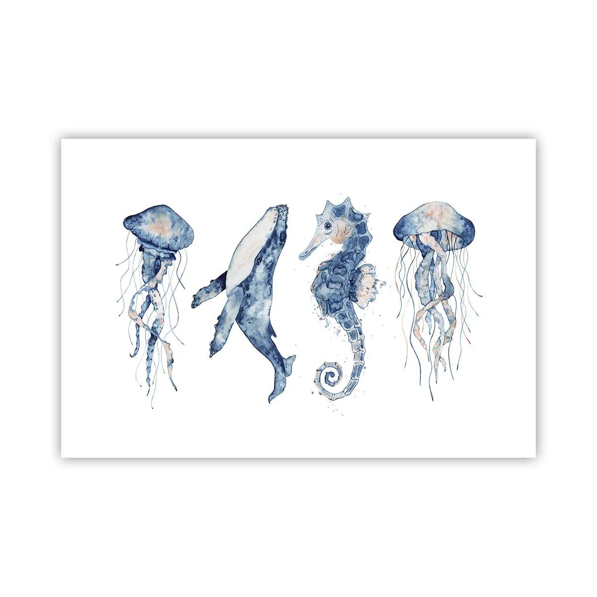 Poster - Meraviglie del mare - 91x61 cm