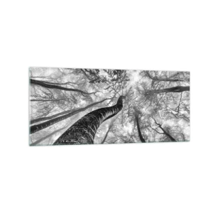 Quadro su vetro - Prospettiva degli alberi in una foresta visti dal basso in tonalità di grigio - 120x50cm - La corsa verso la luce - Decorazione murale moderna per soggiorno e camera da letto ARTTOR