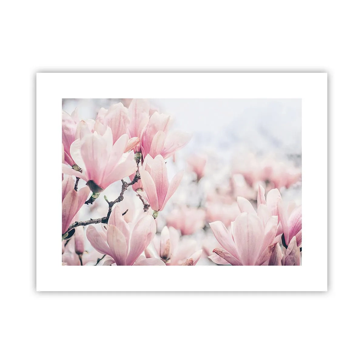 Poster - Ideale di delicatezza - 40x30 cm