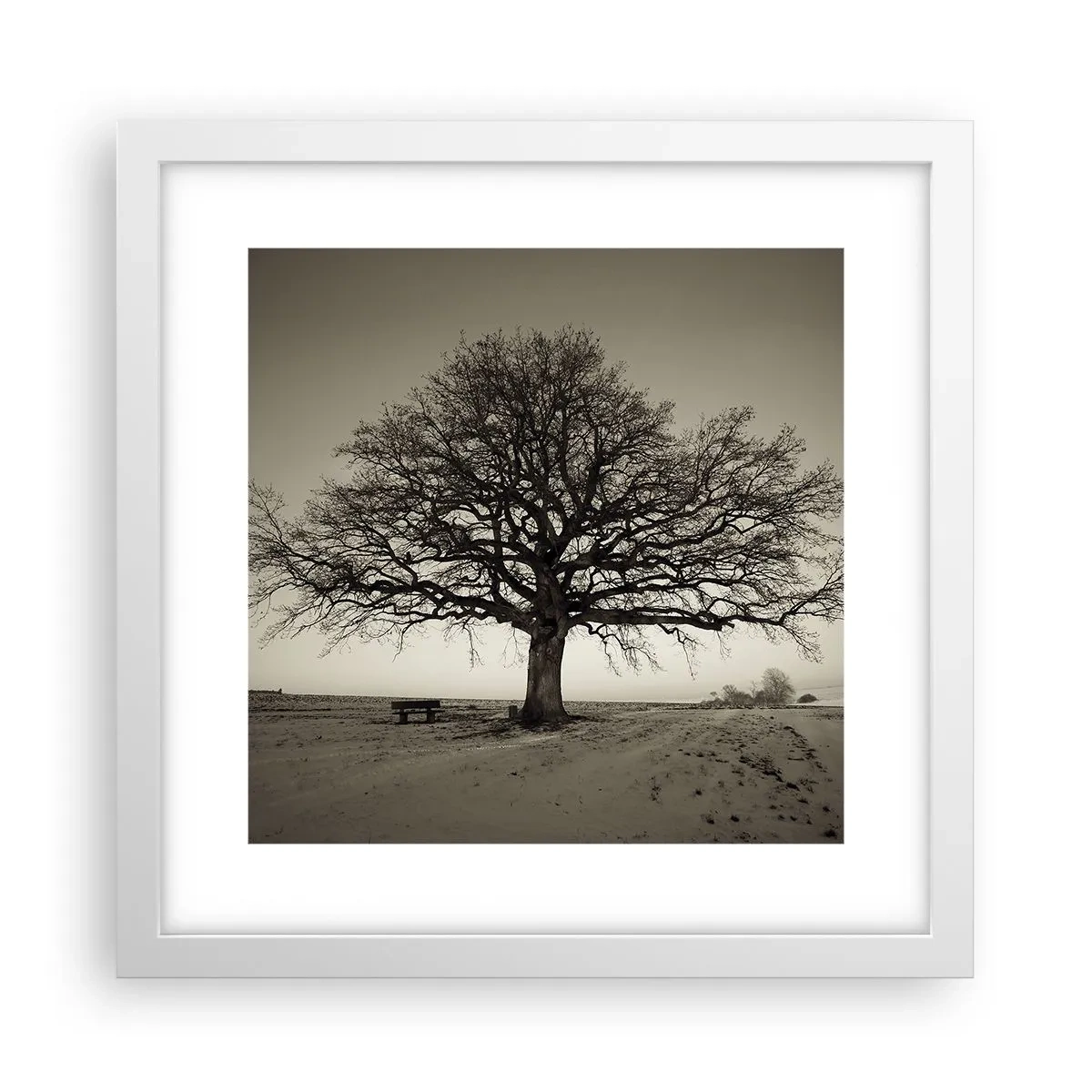 Poster in cornice bianca - Da qui all'eternità - 30x30 cm