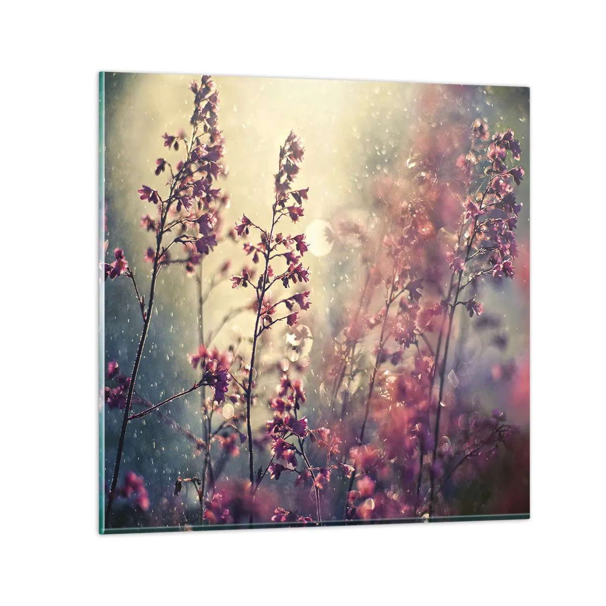 Quadro su vetro - Giardino misterioso - 60x60 cm