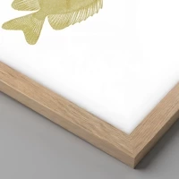 Rovere chiaro