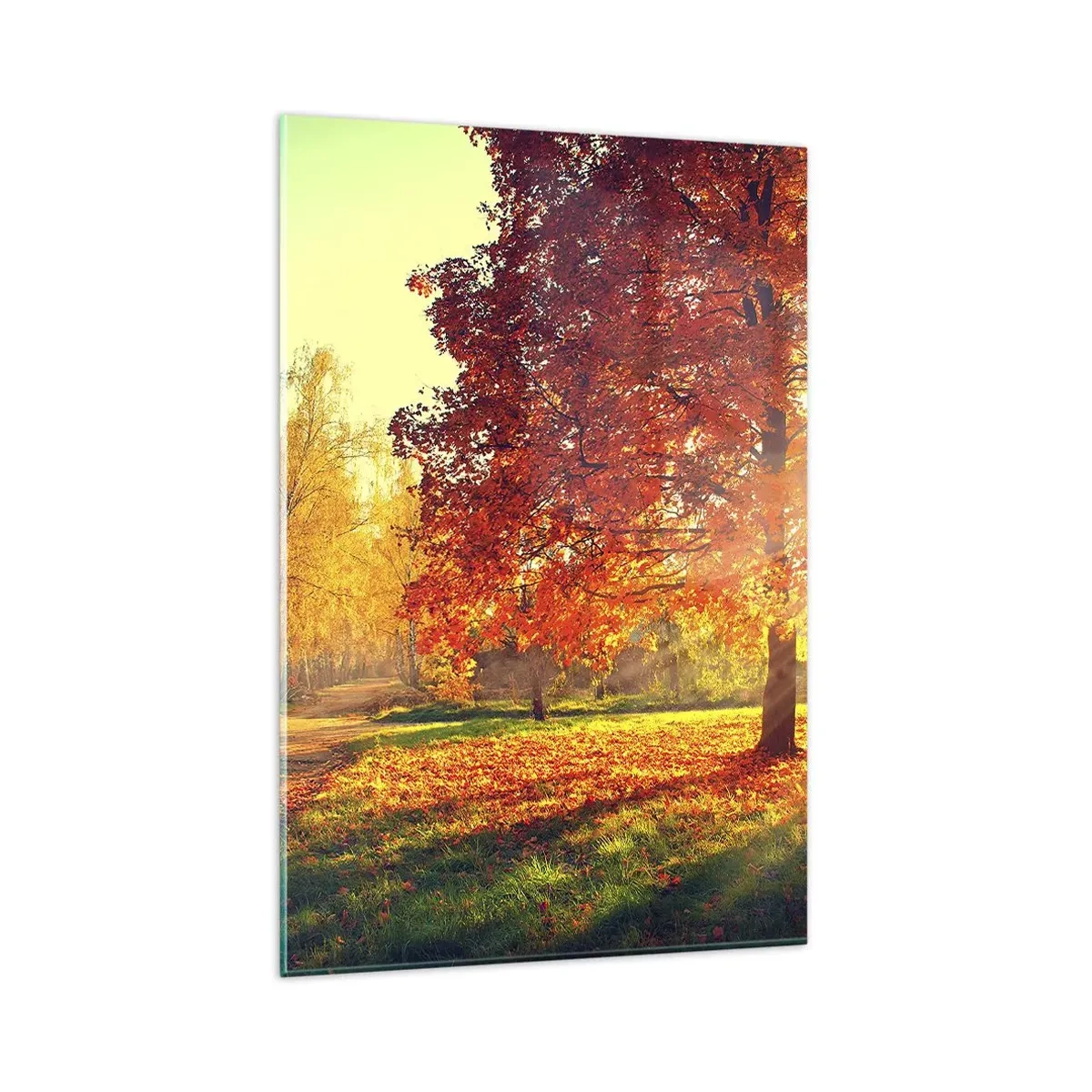Quadro su vetro - Parco autunnale illuminato dalla luce del sole - 80x120cm - Rosso è bello - Decorazione murale moderna per soggiorno e camera da letto ARTTOR