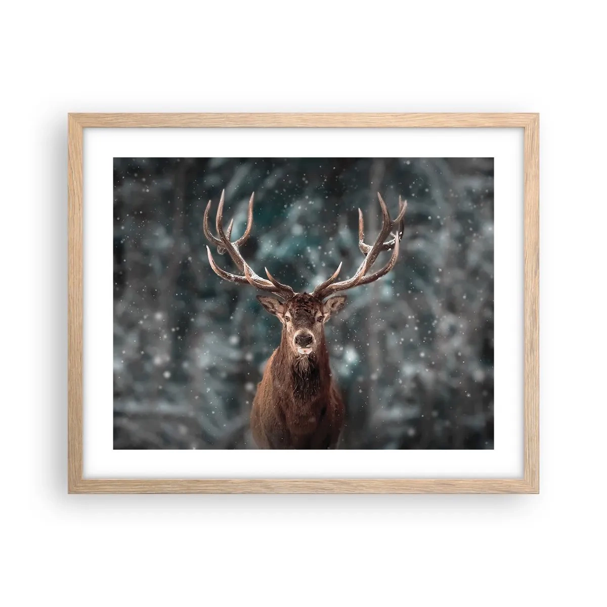 Poster in cornice rovere chiaro - Il re del bosco incoronato - 50x40 cm