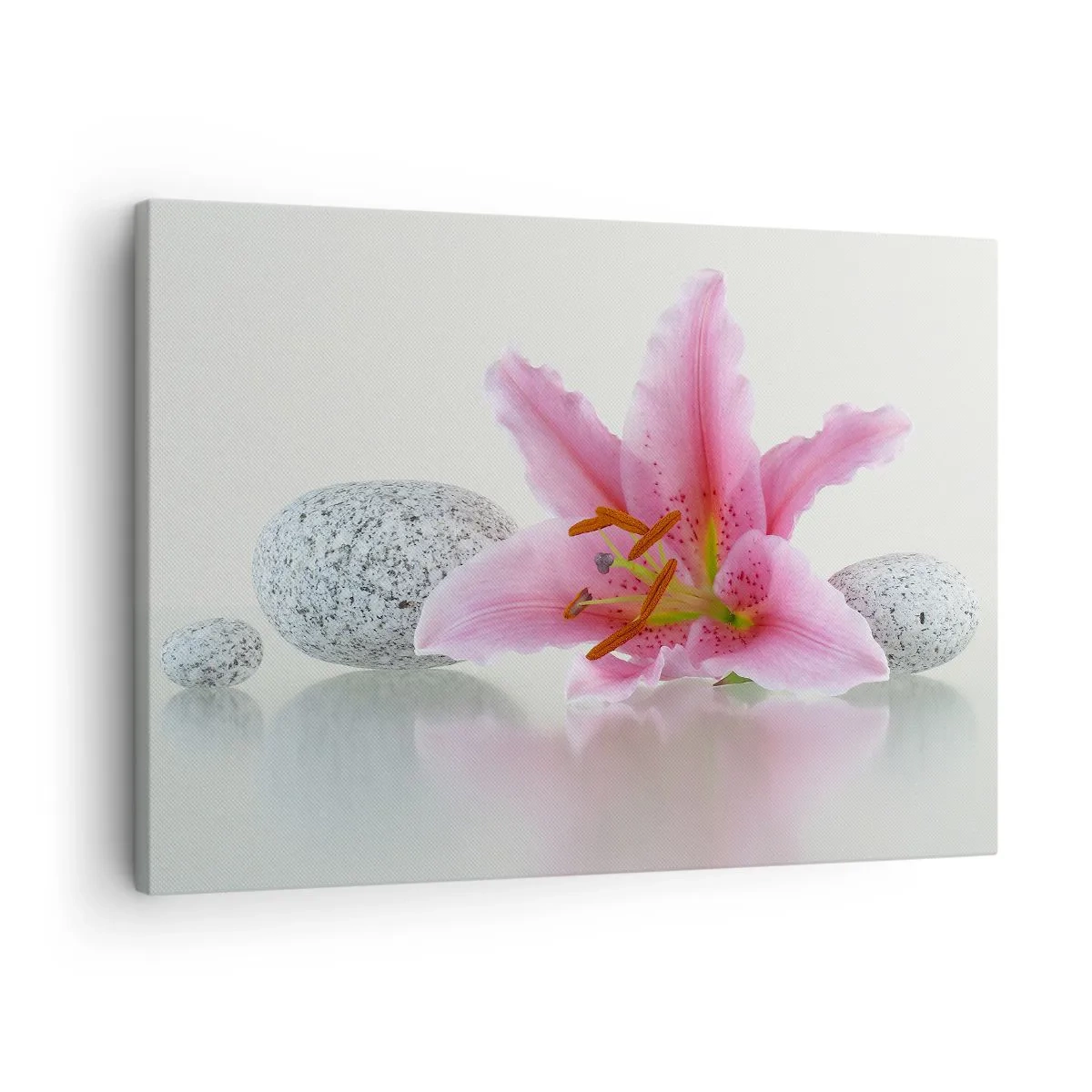 Quadro su tela - Stampe su Tela - Fiore di giglio rosa con pietre su sfondo chiaro - 70x50cm - Studio in rosa, grigio e bianco - Decorazione murale moderna per soggiorno e camera da letto ARTTOR