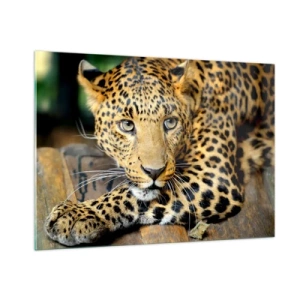 Quadro su vetro - Leopardo appoggiato su una superficie di legno - 100x70cm - Non temere, avvicinati - Decorazione murale moderna per soggiorno e camera da letto ARTTOR