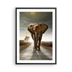 Poster in cornice nera - Un elefante che cammina lungo la strada al tramonto - 50x70cm - E non nel negozio di cristalli - Decorazione murale moderna per soggiorno e camera da letto ARTTOR