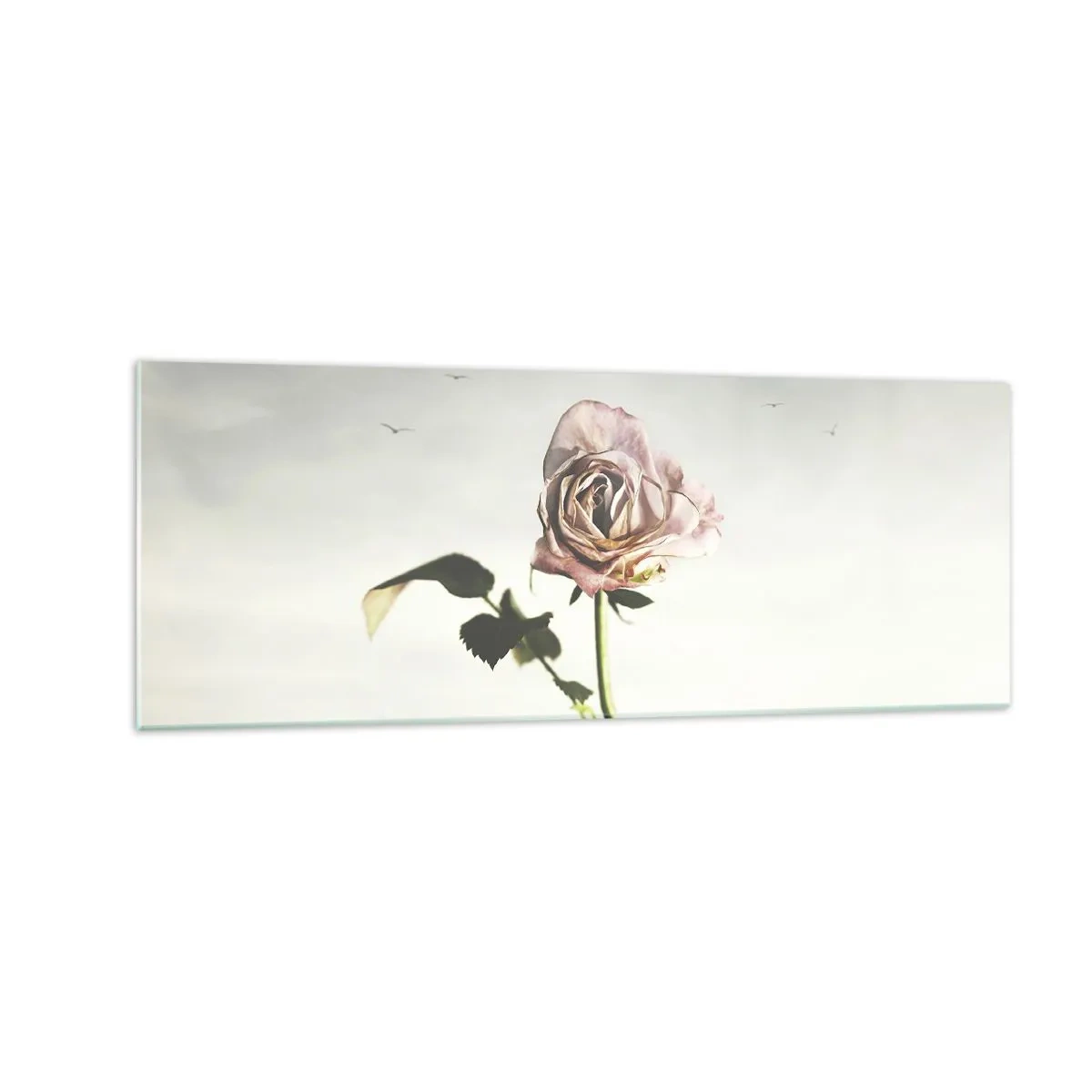 Quadro su vetro - Una rosa delicata contro un cielo luminoso con uccelli che volano - 140x50cm - Il benvenuto alla primavera - Decorazione murale moderna per soggiorno e camera da letto ARTTOR