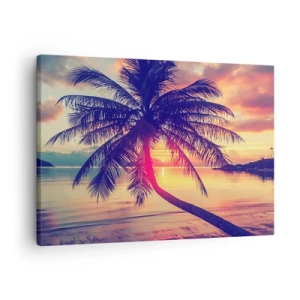 Quadro su tela - Stampe su Tela - Tramonto con una palma su una riva tranquilla - 70x50cm - Sera sotto le palme - Decorazione murale moderna per soggiorno e camera da letto ARTTOR