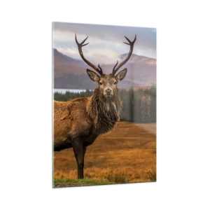 Quadro su vetro - Cervi sullo sfondo di pittoresche montagne e foreste - 50x70cm - Maestà della natura - Decorazione murale moderna per soggiorno e camera da letto ARTTOR