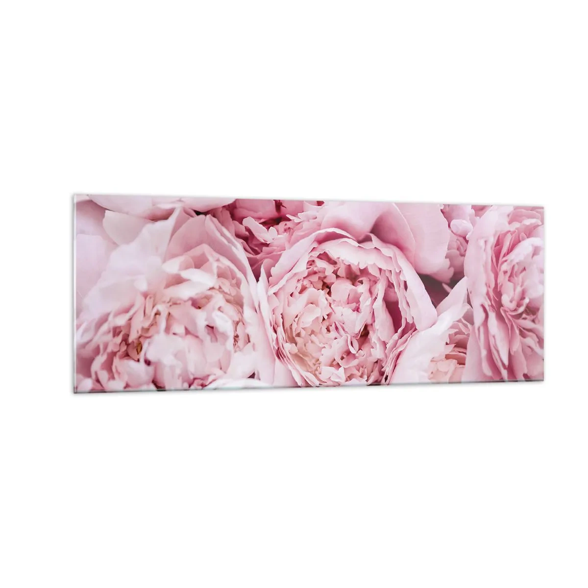 Quadro su vetro - Un primo piano di un bouquet di peonie rosa - 140x50cm - Morbide e profumate - Decorazione murale moderna per soggiorno e camera da letto ARTTOR