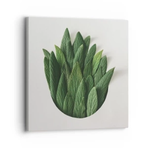 Quadro su tela - Stampe su Tela - Curiosità irrefrenabile - 30x30 cm