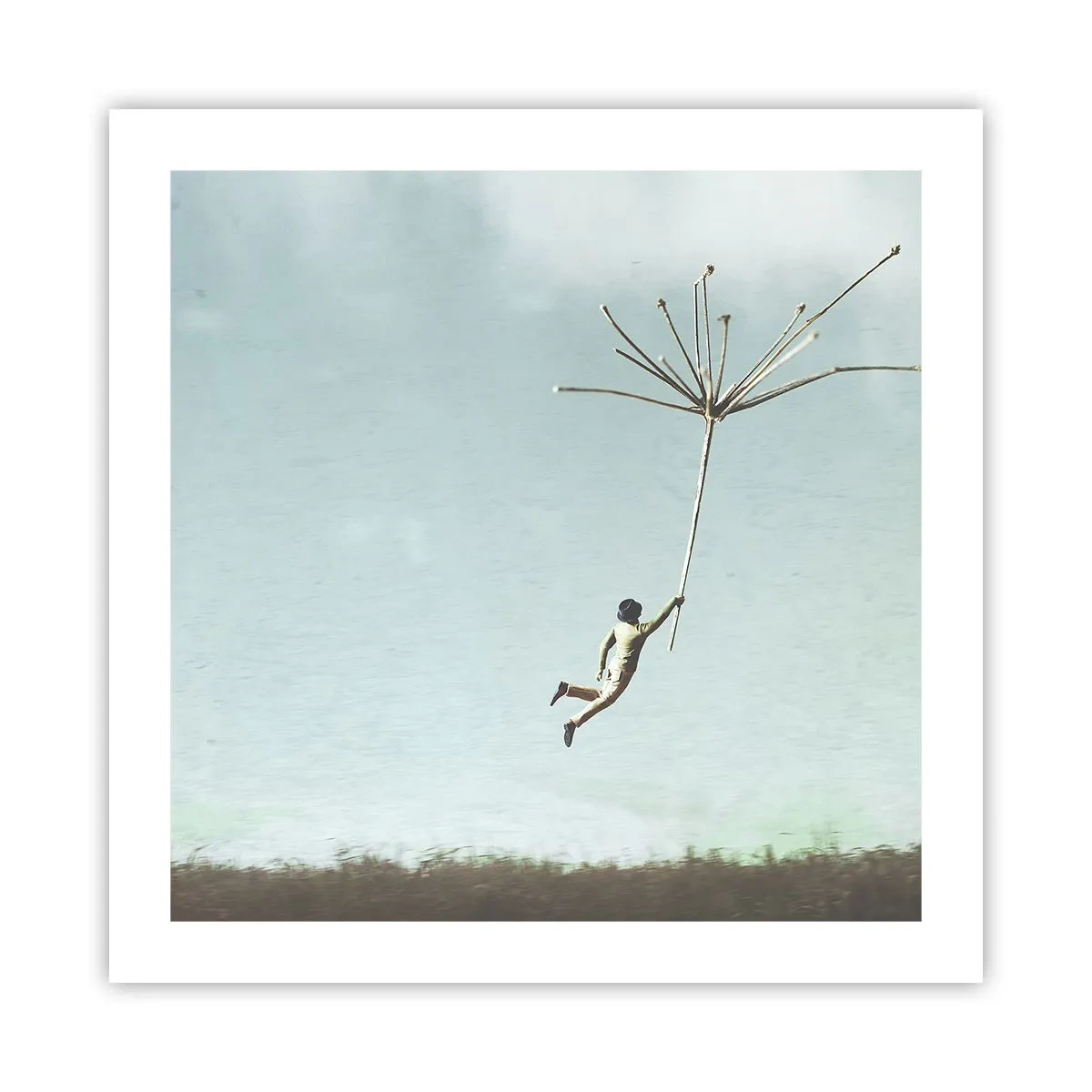 Poster - Aquiloni, denti di leone, vento - 50x50 cm