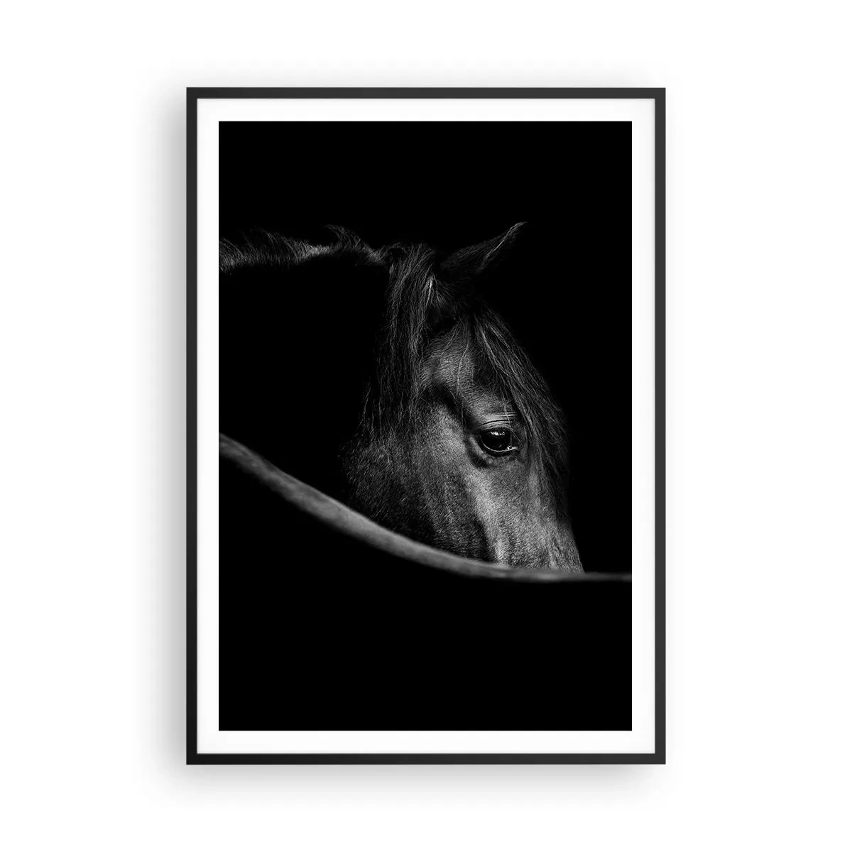 Poster in cornice nera - Il principe nero - 70x100 cm