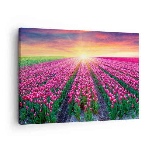 Quadro su tela - Stampe su Tela - Un campo di tulipani al tramonto - 70x50cm - La fattoria della bellezza - Decorazione murale moderna per soggiorno e camera da letto ARTTOR