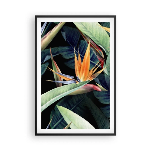 Poster in cornice nera - I fiori fiammeggianti dei tropici - 61x91 cm