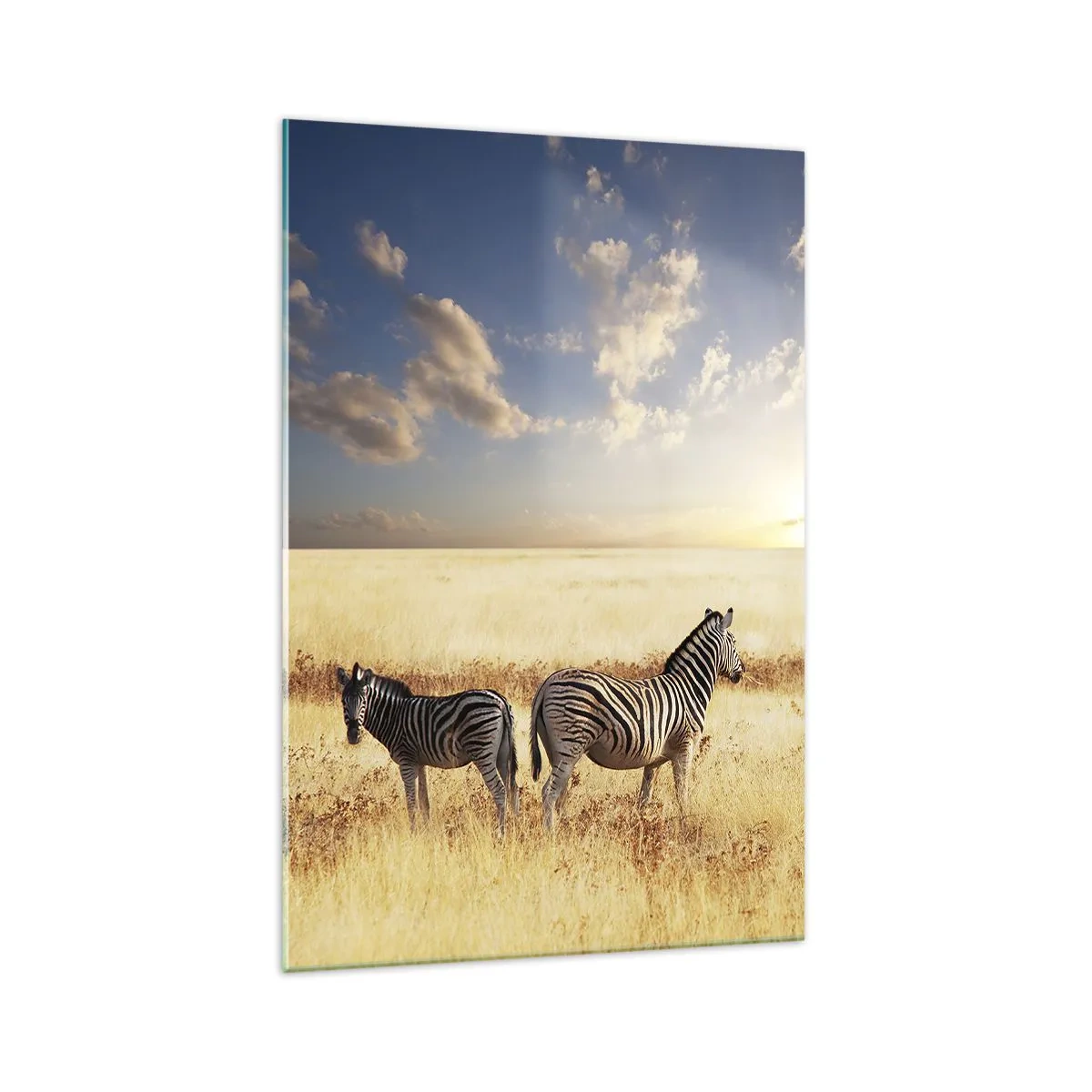 Quadro su vetro - Due zebre nella savana sotto i raggi del sole al tramonto - 70x100cm - Allontanati, non disturbare - Decorazione murale moderna per soggiorno e camera da letto ARTTOR