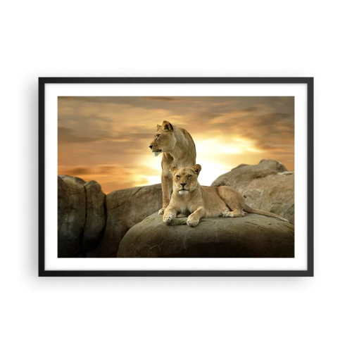 Poster in cornice nera - Due leonesse riposano su una roccia durante il tramonto - 70x50cm - Maestà reale - Decorazione murale moderna per soggiorno e camera da letto ARTTOR