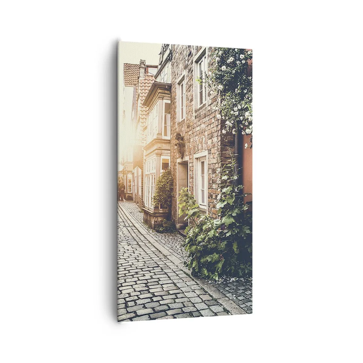 Quadro su tela - Stampe su Tela - L'angolo delle rose nella luce rosata - 65x120 cm