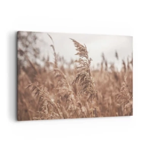 Quadro su tela - Stampe su Tela - Erbe dorate sullo sfondo di un paesaggio autunnale - 120x80cm - Nei campi è già autunno - Decorazione murale moderna per soggiorno e camera da letto ARTTOR