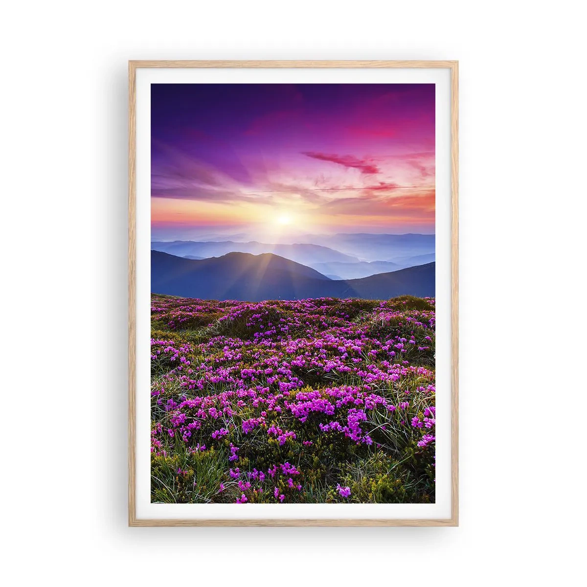 Poster in cornice rovere chiaro - Il profumo dei fiori freschi del campo - 70x100 cm