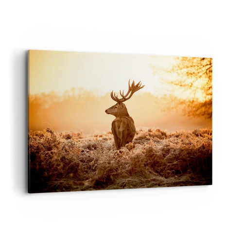 Quadro su tela - Stampe su Tela - Cervo nei raggi del sole nascente - 100x70cm - Il signore sulle sue terre - Decorazione murale moderna per soggiorno e camera da letto ARTTOR