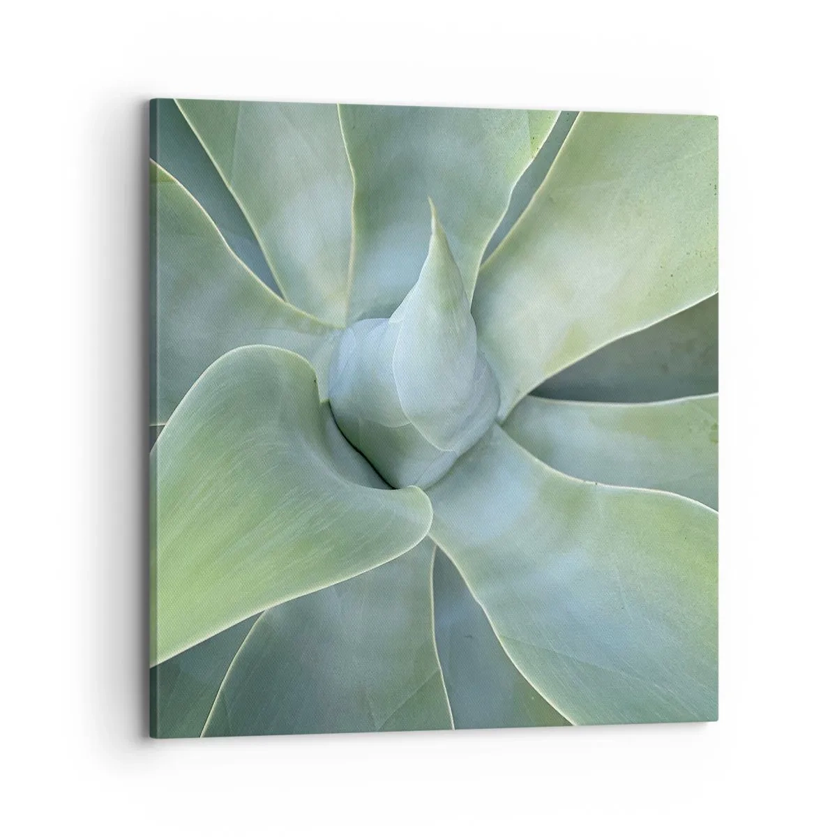 Quadro su tela - Stampe su Tela - La nascita del verde - 70x70 cm