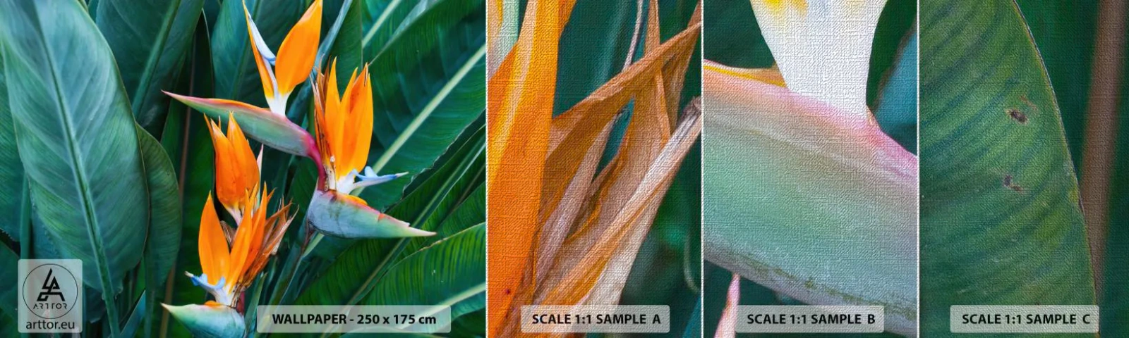 Campione di Fotomurale Premium Canvas - È un fiore o un uccello? - Strelitzia Reale, Fiore, Africa - 100x30 cm