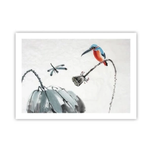 Poster - La vita del prato - 70x50 cm