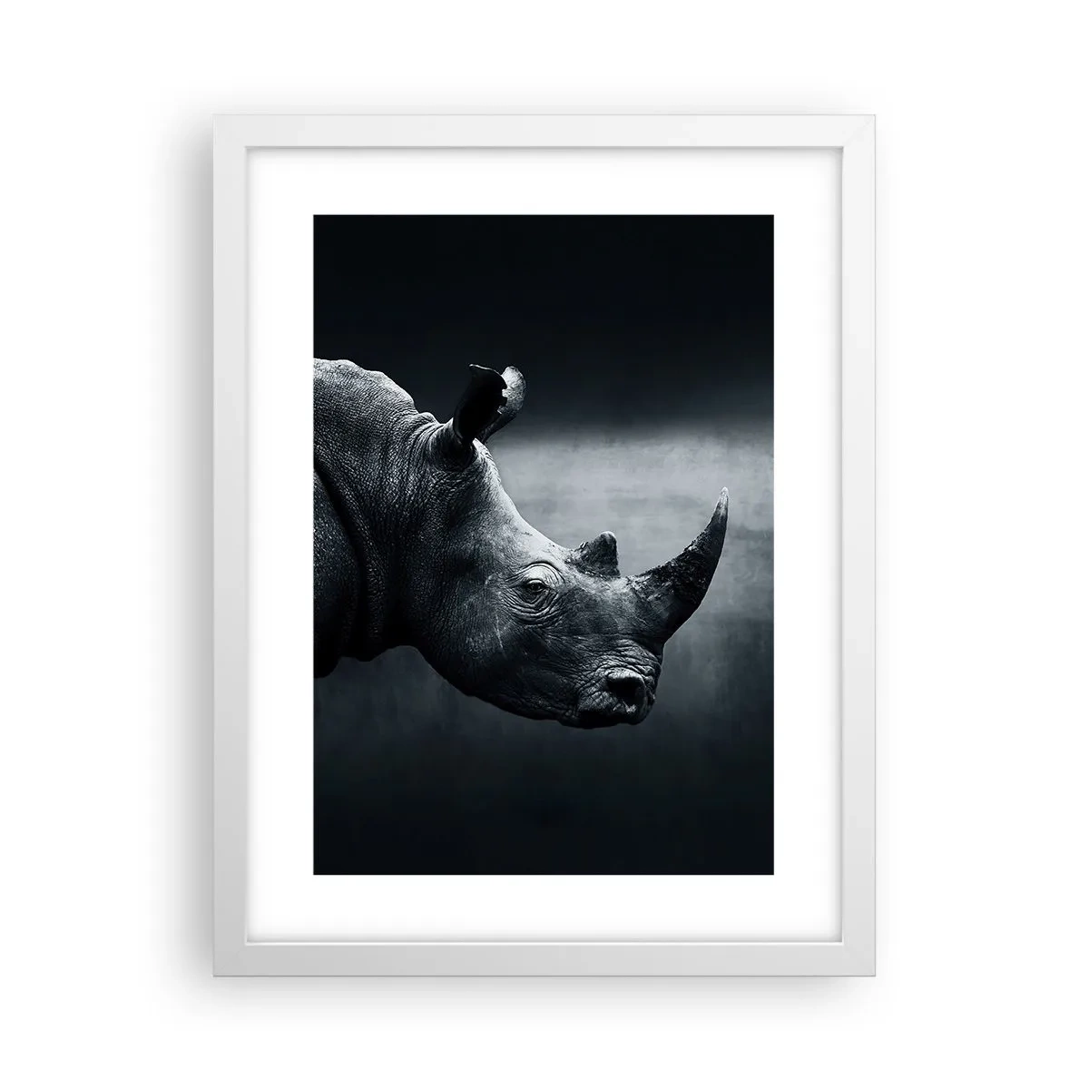 Poster in cornice bianca - Profilo destro - 30x40 cm