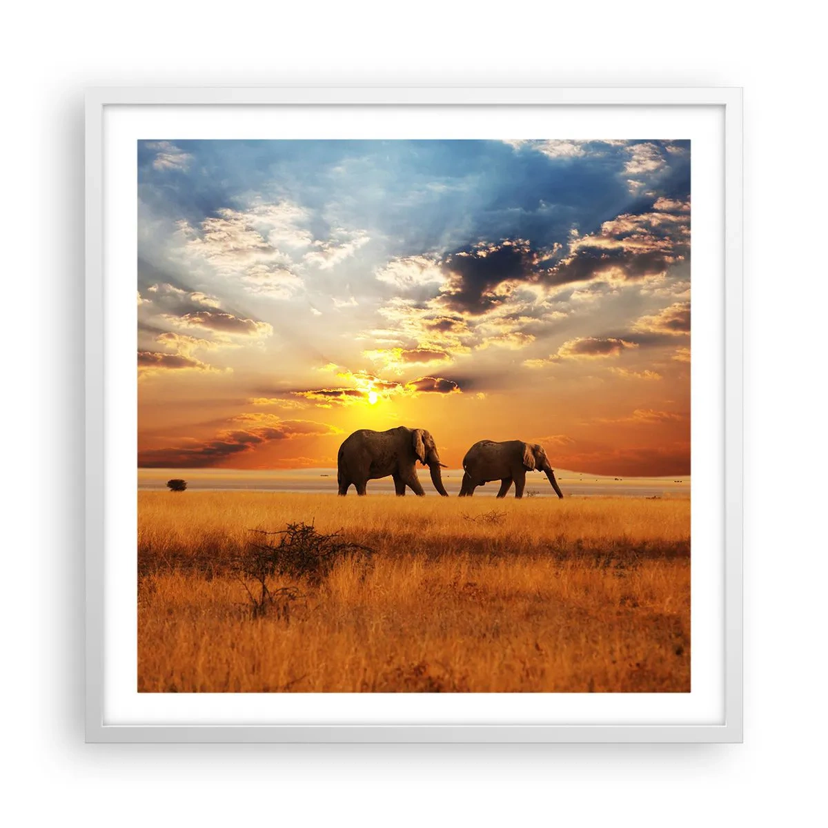 Poster in cornice bianca - Passeggiata familiare - 60x60 cm