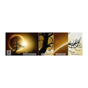 Campione di Fotomurale Premium Canvas - Eclissi totale - Eclisse, Albero, Paesaggio - 100x30 cm