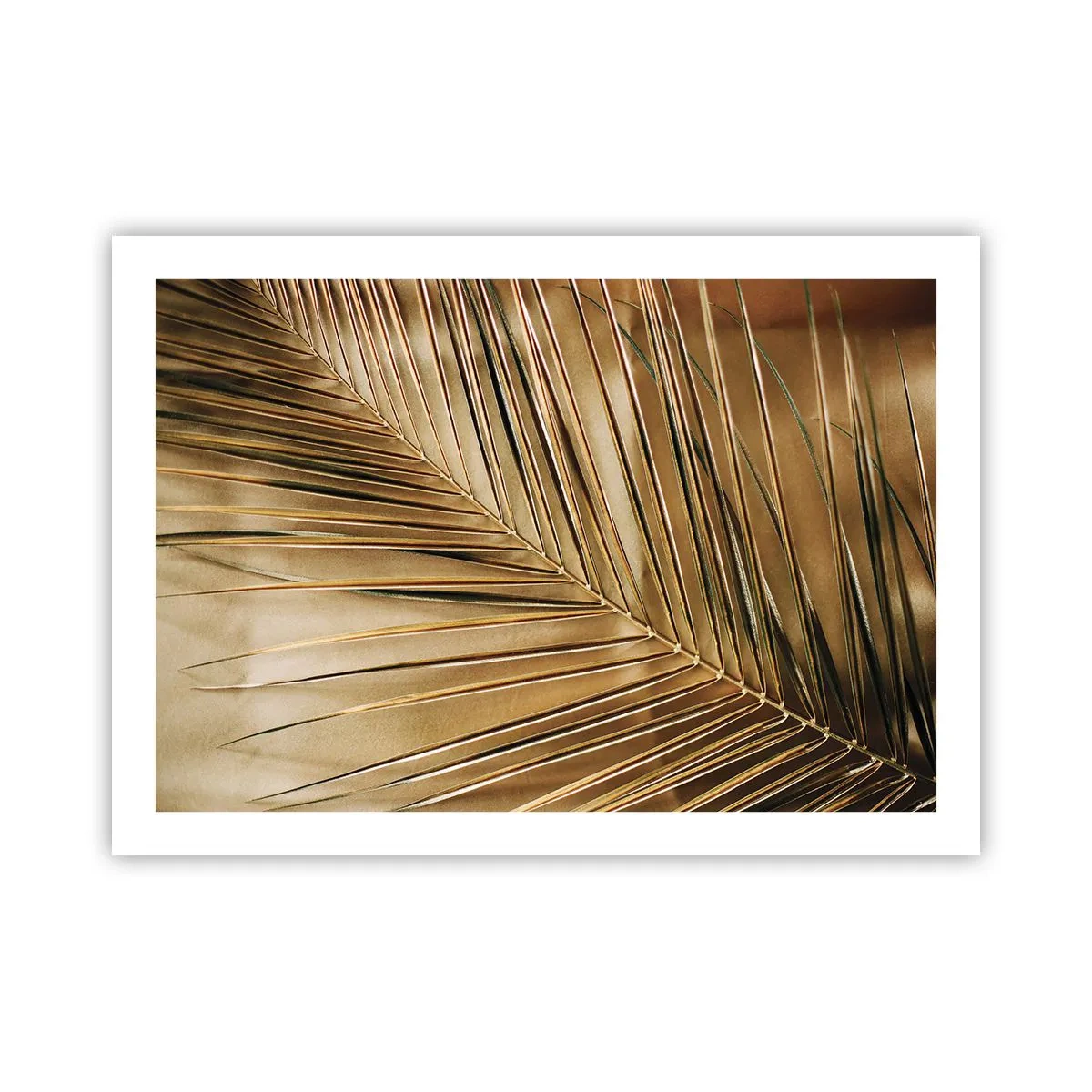 Poster - Colonnato naturale - 70x50 cm
