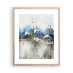 Poster in cornice rovere chiaro - Come la favola dei cigni selvatici - 40x50 cm