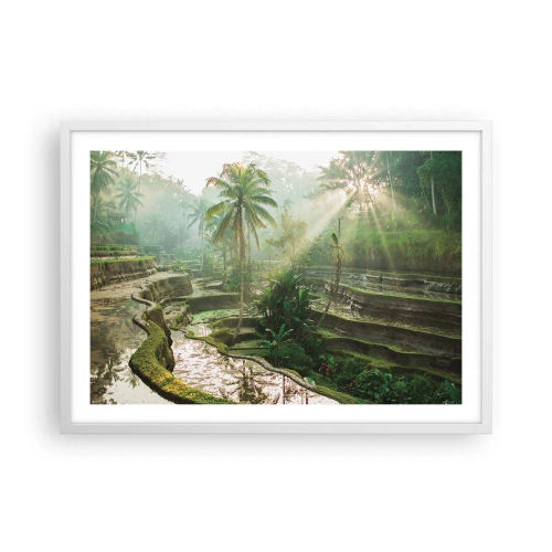 Poster in cornice bianca - Crescere al sole - 70x50 cm