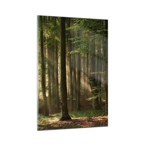 Quadro su vetro - Raggi di sole che penetrano attraverso gli alberi nella foresta - 80x120cm - Raggiante in un mattino di primavera - Decorazione murale moderna per soggiorno e camera da letto ARTTOR