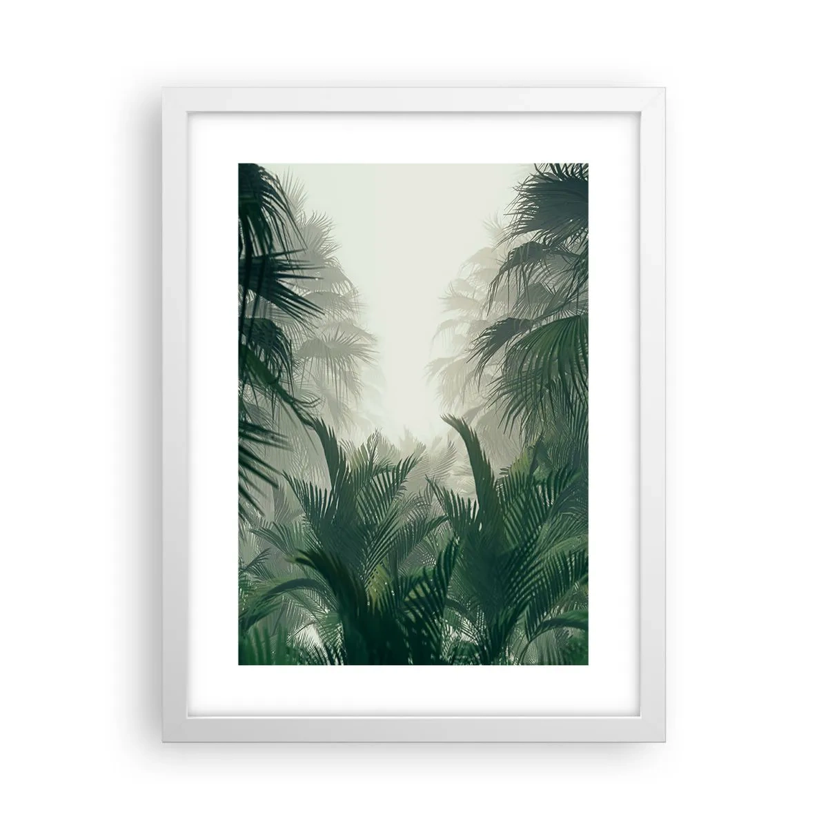 Poster in cornice bianca - Mistero dei tropici - 30x40 cm