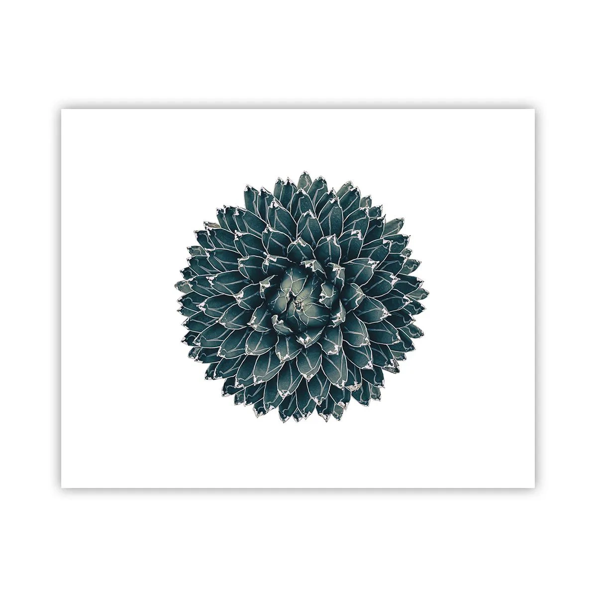 Poster - La stella del deserto - 50x40 cm
