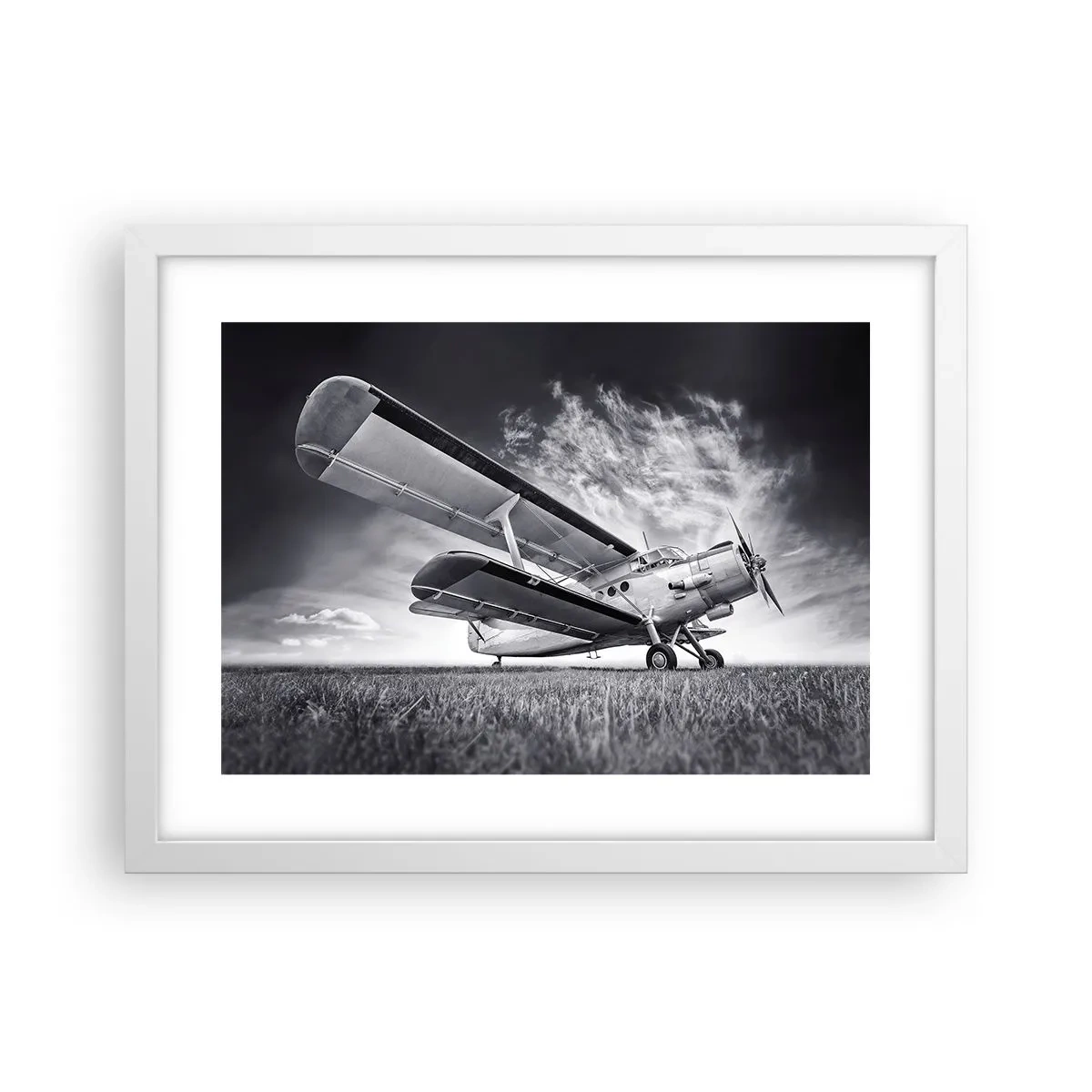 Poster in cornice bianca - Giramondo alato  - 40x30 cm