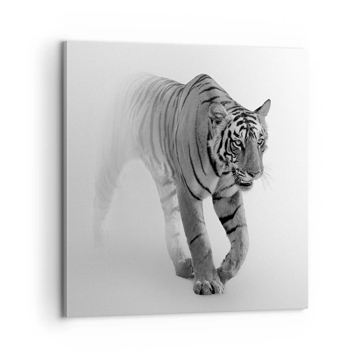 Quadro su tela - Stampe su Tela - Incantato nella nebbia - 60x60 cm