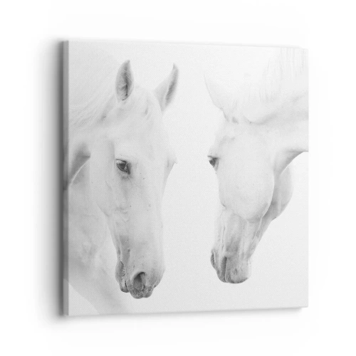 Quadro su tela - Stampe su Tela - È amicizia? - 30x30 cm