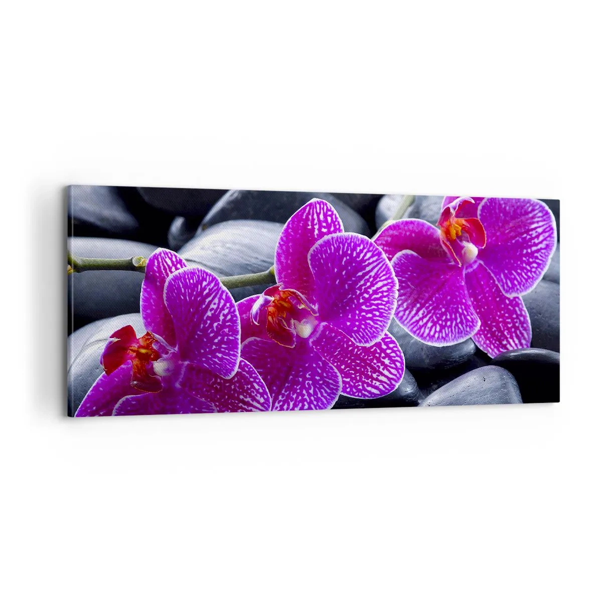 Quadro su tela - Stampe su Tela - Le pietre brillano di ammirazione - 100x40 cm