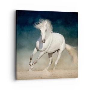 Quadro su tela - Stampe su Tela - Libertà allo stato puro - 30x30 cm