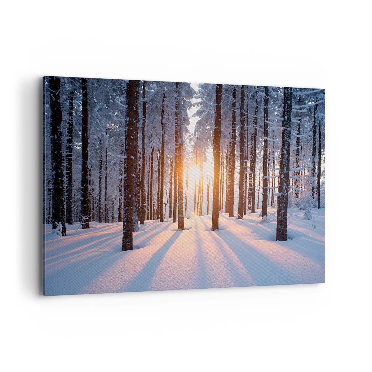 Quadro su tela - Stampe su Tela - Foresta invernale illuminata dai raggi del sole - 120x80cm - Decisamente nero su bianco - Decorazione murale moderna per soggiorno e camera da letto ARTTOR