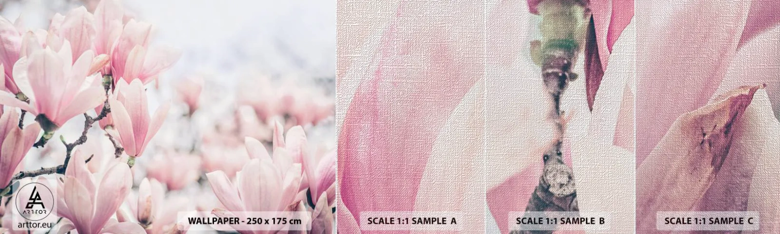 Campione di Fotomurale Premium Canvas - Ideale di delicatezza - Magnolia, Fiori, Albero di magnolia - 100x30 cm