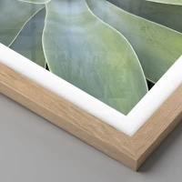 Rovere chiaro