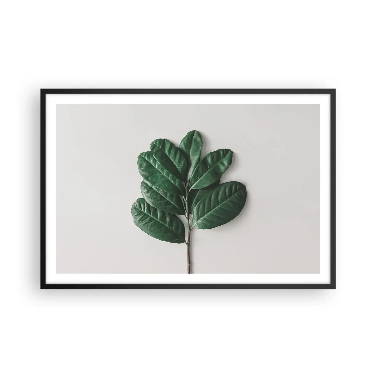 Poster in cornice nera - Il disegno della natura stessa - 91x61 cm