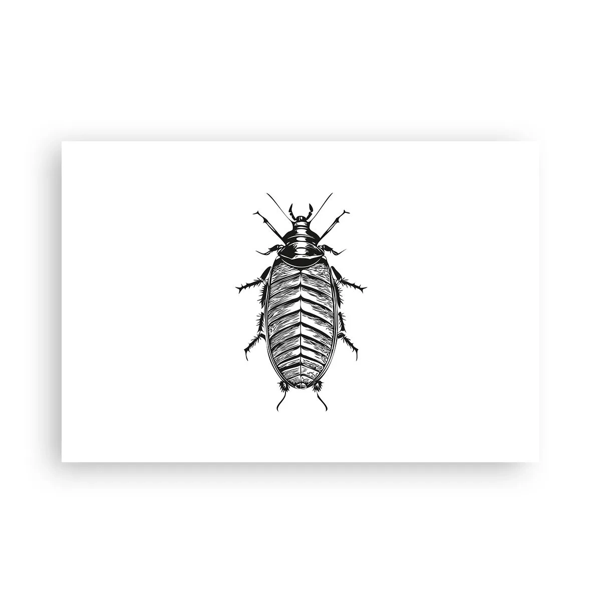 Poster - Che esemplare! - 91x61 cm