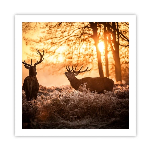 Poster - Il sogno del cacciatore - 60x60 cm